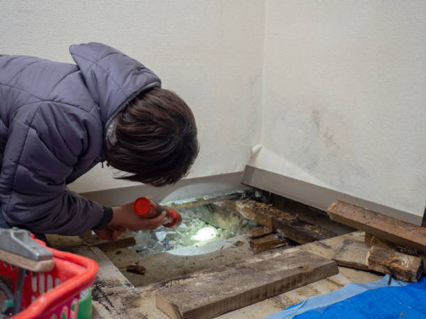 Best Mold Prevention Services  in Fullerton, CA